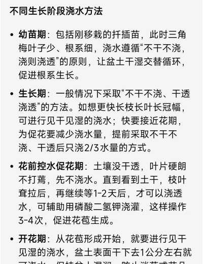 家里阳光不足怎么养花，选对植物种类，掌握养护技巧