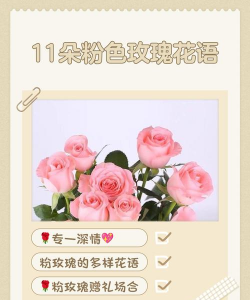 家里阳光不足怎么养花，选对植物种类，掌握养护技巧