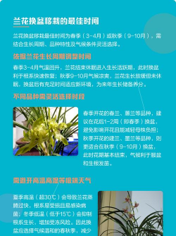 家里阳光不足怎么养花，选对植物种类，掌握养护技巧