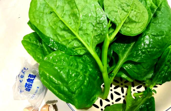 家里阳光不足怎么养花，选对植物种类，掌握养护技巧