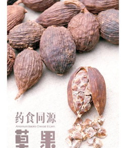 家里阳光不足怎么养花，选对植物种类，掌握养护技巧