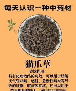 家里阳光不足怎么养花，选对植物种类，掌握养护技巧