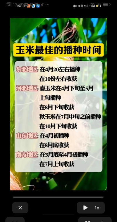 家里阳光不足怎么养花，选对植物种类，掌握养护技巧