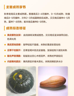 家里阳光不足怎么养花，选对植物种类，掌握养护技巧