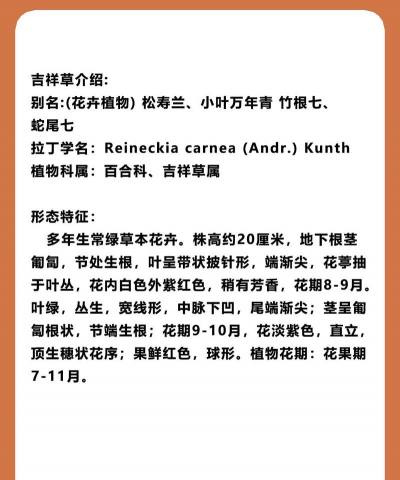 家里阳光不足怎么养花，选对植物种类，掌握养护技巧