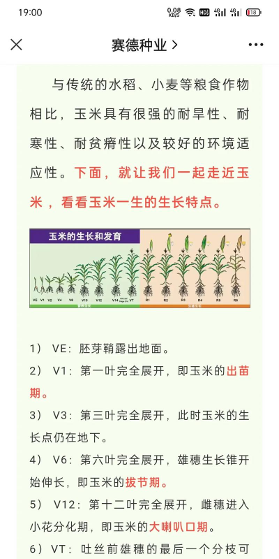 家里阳光不足怎么养花，选对植物种类，掌握养护技巧