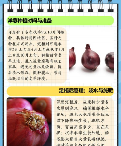 家里阳光不足怎么养花，选对植物种类，掌握养护技巧