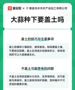 家里阳光不足怎么养花，选对植物种类，掌握养护技巧