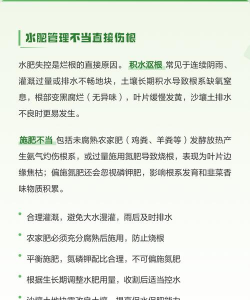 家里阳光不足怎么养花，选对植物种类，掌握养护技巧