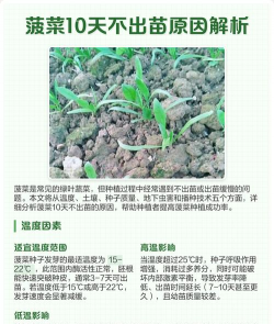 家里阳光不足怎么养花，选对植物种类，掌握养护技巧