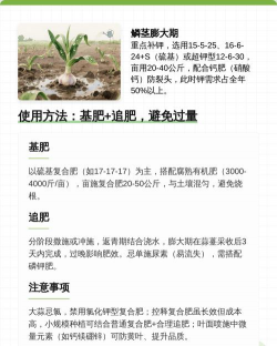 家里阳光不足怎么养花，选对植物种类，掌握养护技巧