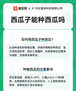 家里阳光不足怎么养花，选对植物种类，掌握养护技巧