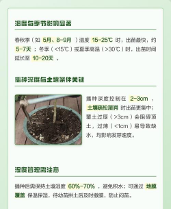 家里阳光不足怎么养花，选对植物种类，掌握养护技巧