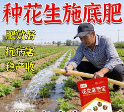 家里阳光不足怎么养花，选对植物种类，掌握养护技巧