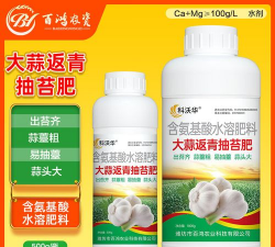 家里阳光不足怎么养花，选对植物种类，掌握养护技巧