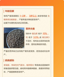 家里阳光不足怎么养花，选对植物种类，掌握养护技巧