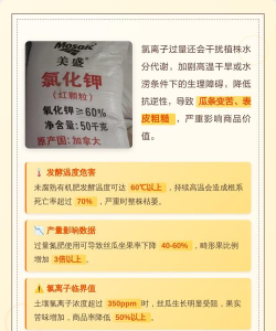 家里阳光不足怎么养花，选对植物种类，掌握养护技巧