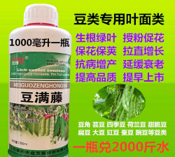 家里阳光不足怎么养花，选对植物种类，掌握养护技巧