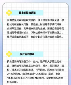 家里阳光不足怎么养花，选对植物种类，掌握养护技巧