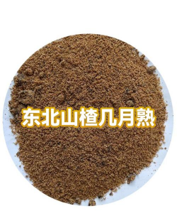 家里阳光不足怎么养花，选对植物种类，掌握养护技巧