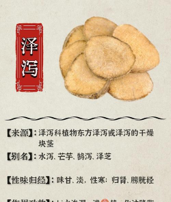 家里阳光不足怎么养花，选对植物种类，掌握养护技巧