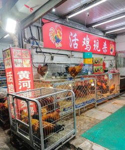 小众送妈妈的花有哪些花