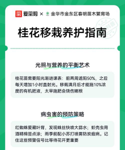 家里阳光不足怎么养花，选对植物种类，掌握养护技巧