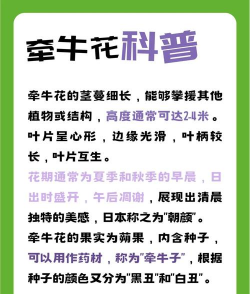 家里阳光不足怎么养花，选对植物种类，掌握养护技巧