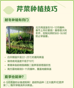 家里阳光不足怎么养花，选对植物种类，掌握养护技巧