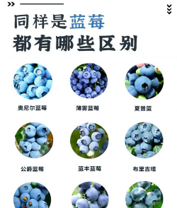 家里阳光不足怎么养花，选对植物种类，掌握养护技巧