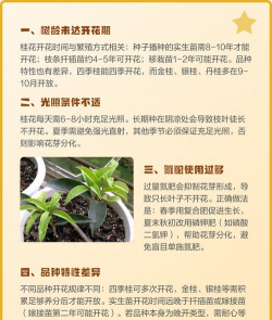 家里阳光不足怎么养花，选对植物种类，掌握养护技巧