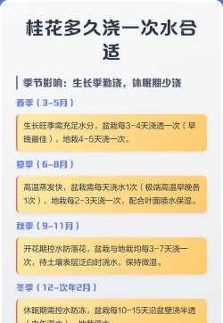 家里阳光不足怎么养花，选对植物种类，掌握养护技巧