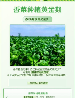 家里阳光不足怎么养花，选对植物种类，掌握养护技巧