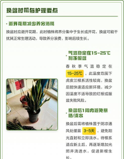 家里阳光不足怎么养花，选对植物种类，掌握养护技巧