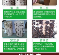 家里阳光不足怎么养花，选对植物种类，掌握养护技巧