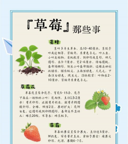 家里阳光不足怎么养花，选对植物种类，掌握养护技巧