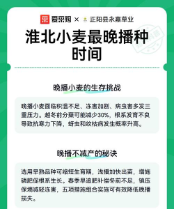 家里阳光不足怎么养花，选对植物种类，掌握养护技巧