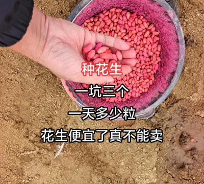 家里阳光不足怎么养花，选对植物种类，掌握养护技巧