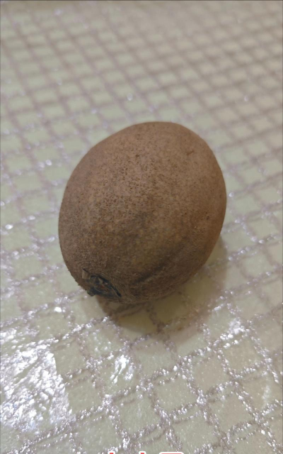 家里阳光不足怎么养花，选对植物种类，掌握养护技巧