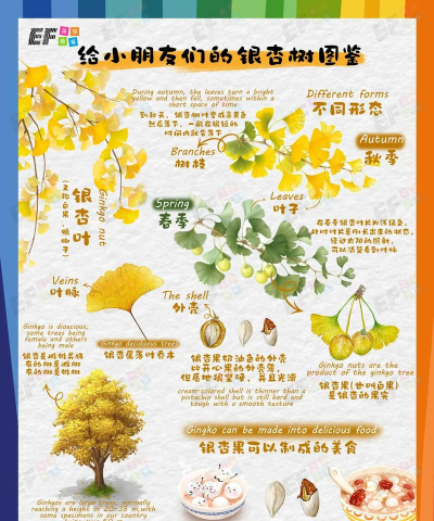 家里阳光不足怎么养花，选对植物种类，掌握养护技巧
