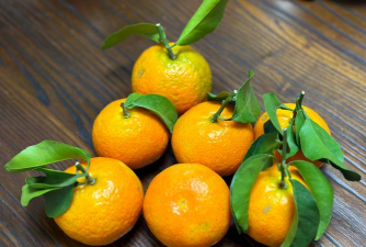 家里阳光不足怎么养花，选对植物种类，掌握养护技巧