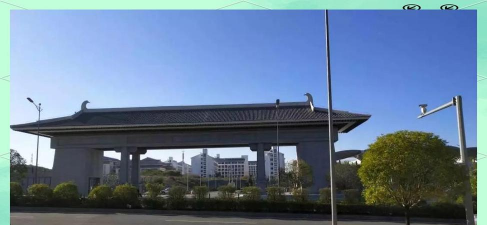 家里阳光不足怎么养花，选对植物种类，掌握养护技巧