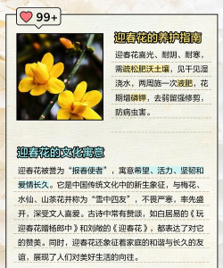 家里阳光不足怎么养花，选对植物种类，掌握养护技巧