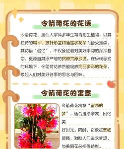 家里阳光不足怎么养花，选对植物种类，掌握养护技巧