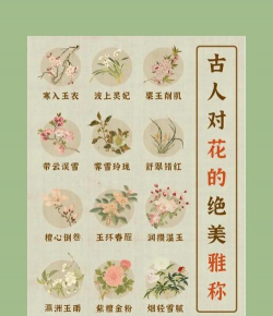 家里阳光不足怎么养花，选对植物种类，掌握养护技巧
