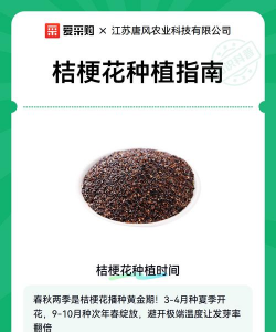 家里阳光不足怎么养花，选对植物种类，掌握养护技巧
