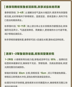 家里阳光不足怎么养花，选对植物种类，掌握养护技巧