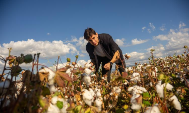 家里阳光不足怎么养花，选对植物种类，掌握养护技巧