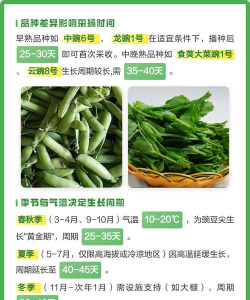 家里阳光不足怎么养花，选对植物种类，掌握养护技巧