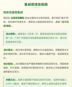 家里阳光不足怎么养花，选对植物种类，掌握养护技巧